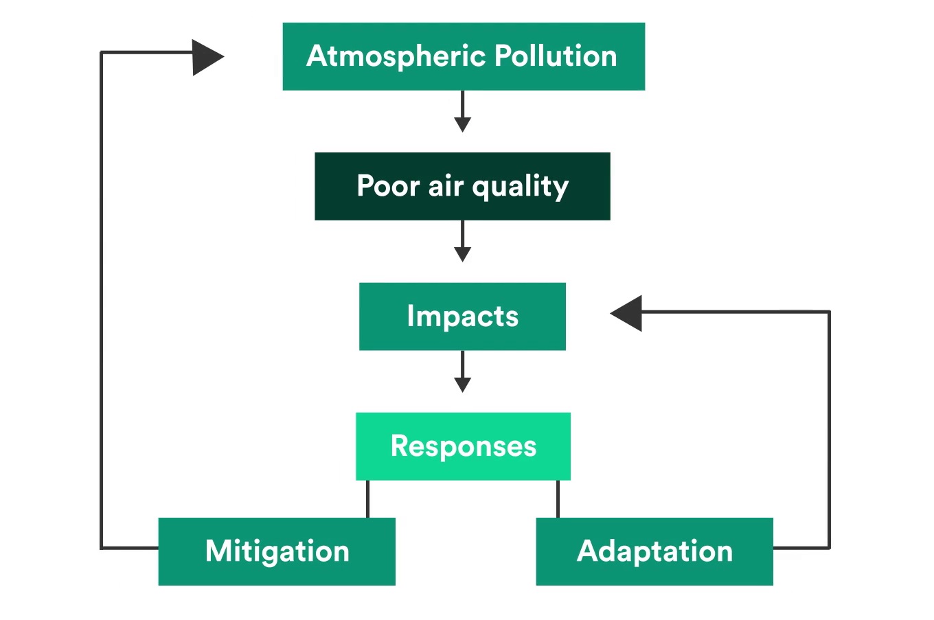 The flow chart shows how mitigation is about trying to reduce the levels atmospheric pollution, whereas adaptation is looking to reduce the impacts of the poor air quality.