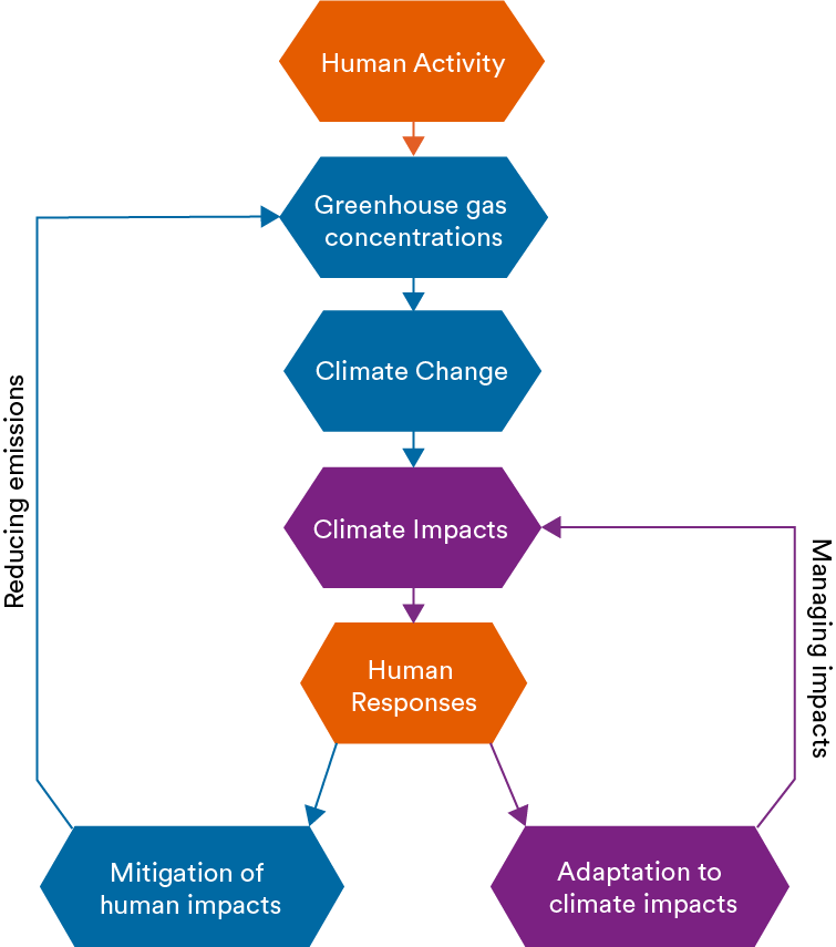 This diagram shows the different between climate adaptation action and climate mitigation action. Climate mitigation actions aim to reduce green house gas emissions and prevent further climate change. Climate adaptation actions aim to manage the impacts of the climate change that we can’t avoid.