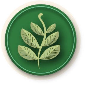 Climate and environment